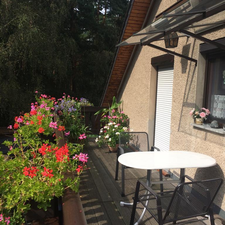 Ferienwohnung Guerth Kleinhennersdorf Dış mekan fotoğraf